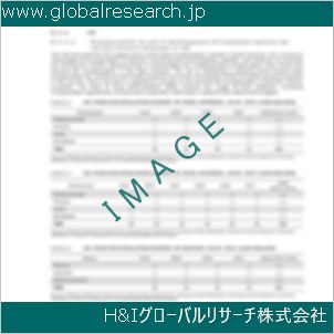 グローバルリサーチ調査資料のイメージ
